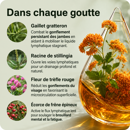 Drainage lymphatique - Gouttes naturelles