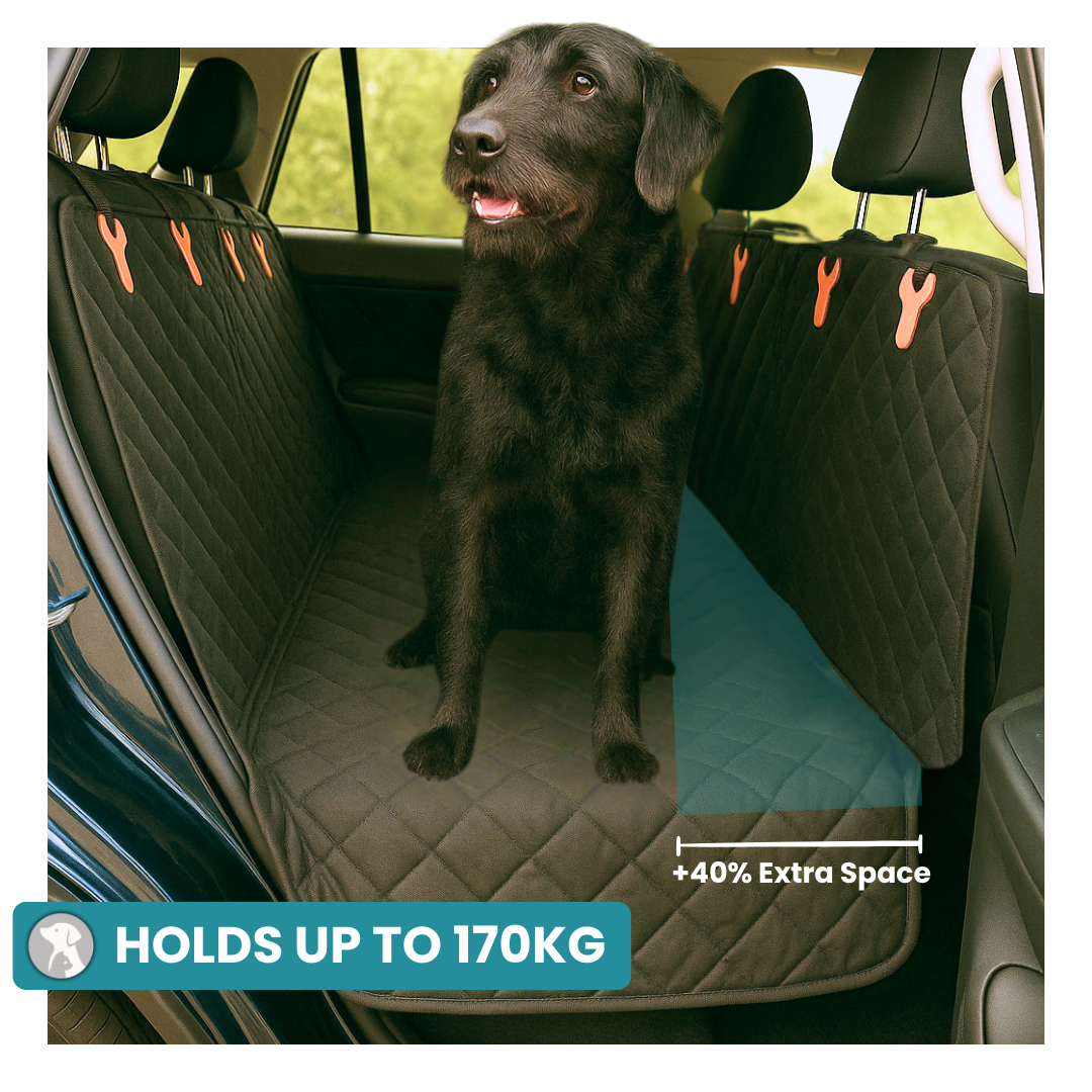 Dog Car Seat Cover